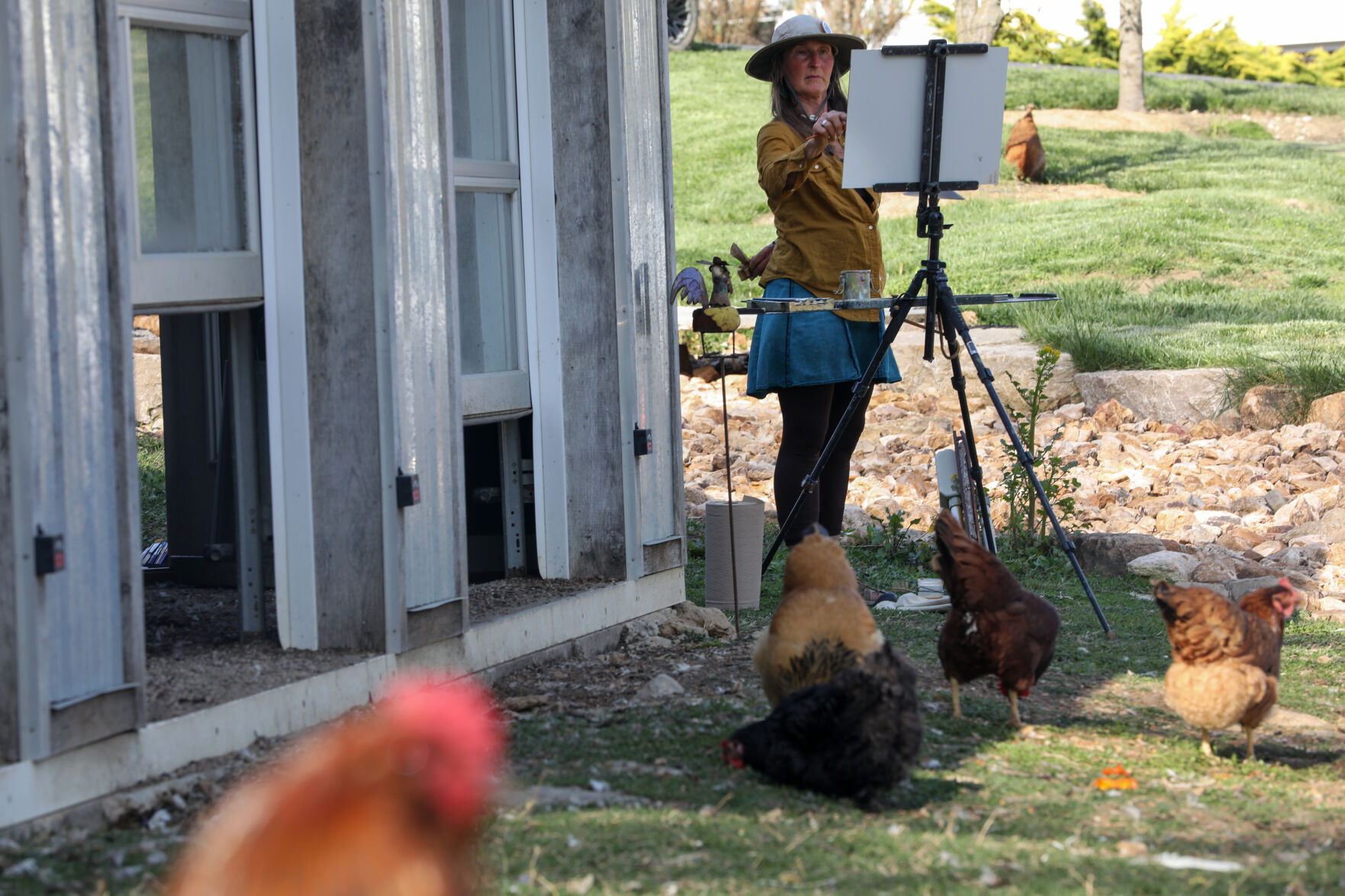 Julie Wiegand paints chickens